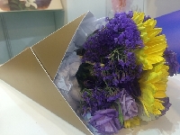 展會(huì)花絮